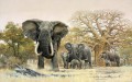 troupeau d’éléphants et baobabs